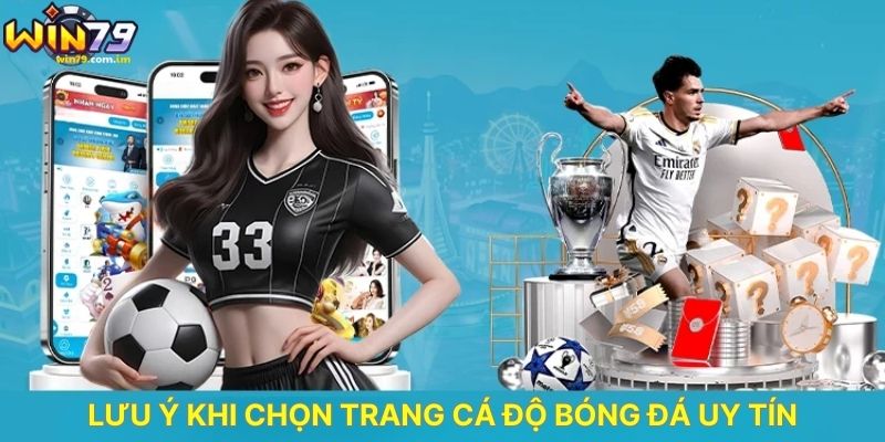 Lưu ý Khi Chọn Trang Cá Độ Bóng Đá Uy Tín