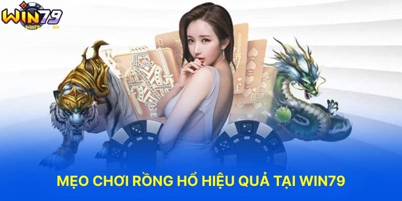 Mẹo Chơi Rồng Hổ Hiệu Quả Tại WIN79