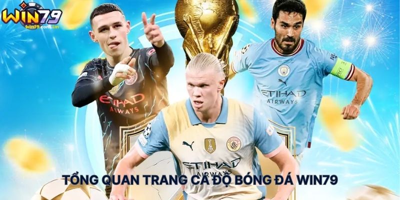 Tổng Quan Trang Cá Độ Bóng Đá WIN79
