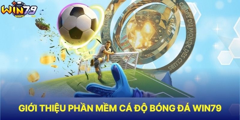 Giới Thiệu Phần Mềm Cá Độ Bóng Đá WIN79