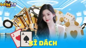 thumbnail-xi-dach-win79